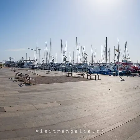 Serin Blaxy * Mangalia