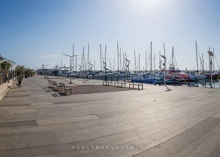 Serin Blaxy * Mangalia